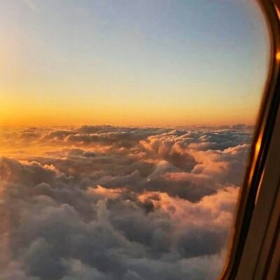 澳门一码一肖一特一中手机app下载