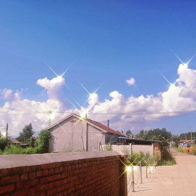 bob·体育综合app